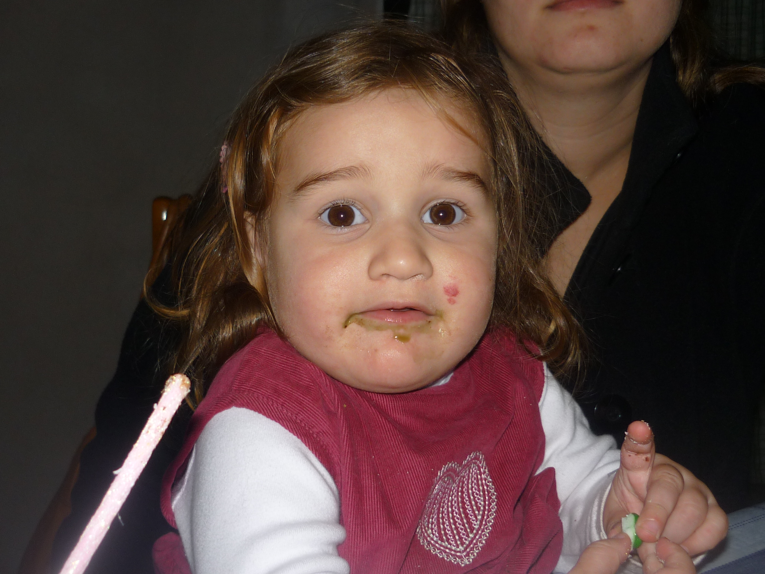 fotos/2012-06-11 - Cumple Nestor Iara/P1020758.JPG